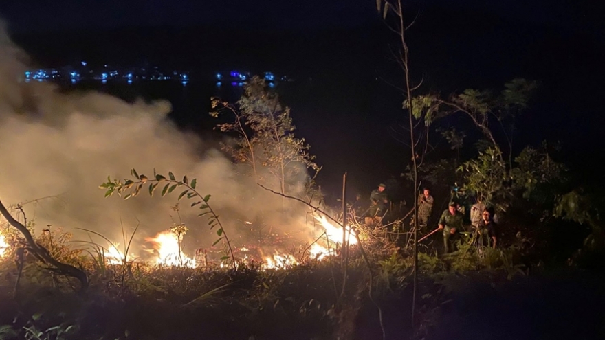 Forest fire fully contained overnight in central Vietnam